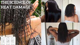 The Science Behind Heat Damage and How To Avoid Damaged straight natural  Hair