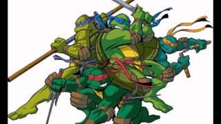 Teenage Mutant Ninja Turtles 2003 Theme Song