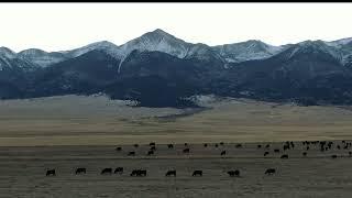 Beckwith Mountain, Westcliffe Colorado. FPV and Cinematic Footage of Wet-mountain￼￼. 2021