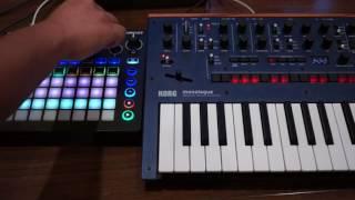 Real-Time Live Hardware Techno with Korg Monologue and Novation Circuit