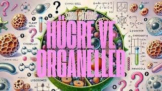 Canlıların Yapısına Yolculuk | Hücre ve Organeller | Soru Çözümü | 5. Sınıf | 3. Ünite