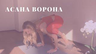 Асана Ворона | Бакасана | Йога с Милой Рева | Yoga with Mila Reva