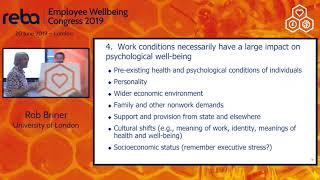 Rob Briner, of Queen Mary, University of London on psychological wellbeing defined