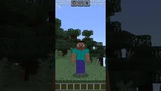 #minecraft #mem