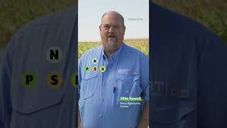 Essential Nutrients: Understanding #Nitrogen #Fertilizer for Higher Yields