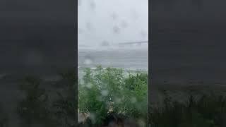 Майский дождь