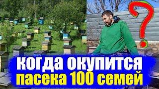 Бизнес - план пасека 100 (ульев) семей пчел