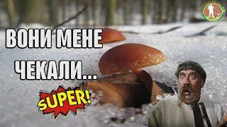 ВОНИ ЛЕЖАЛИ В ОДНІЙ ЯМЦІ  СУПЕР! Коп в лісі з металошукачем Квазар АРМ. Пошук монет та скарбів