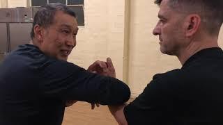 Wing Chun Bil Jee Elbow Application