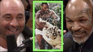 Mike Tyson Explains Why He Got the Tigers | Joe Rogan