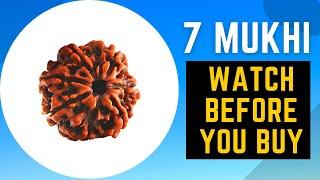 7 Mukhi Rudraksha Benefits | 7 mukhi rudraksha dharan karne ki vidhi