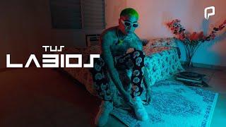 Green Cookie - Tus Labios (Video Oficial)