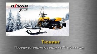 Irbis Dingo T125 Проверяем ведомую звезду 21 зуб на ходу