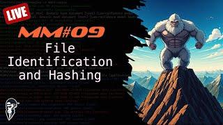 Malware Mondays #09 - File Identification and Hashing Algorithms