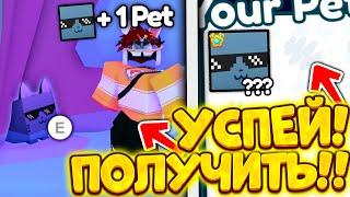 УСПЕЙ! СКОРО БУДЕТ ВОЗМОЖНОСТЬ ПОЛУЧИТЬ НОВОГО ХУГА В PET SIMULATOR X ROBLOX РОБЛОКС! HUGE Spiffy!