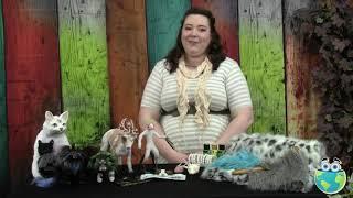 How To Make A Fantasy Fox Posable Art Doll with Jenny Roemmich - Trailer