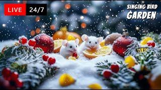  24/7 LIVE Cat TV: Cat TV for Cats  Cute White Mouse looking for Tropical Fruits | 4K HD 60 FPS