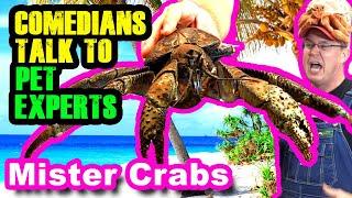 Comedians Talk to Pet Expert Mister Crabs & his Giant Coconut Crab/Robber Crab