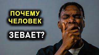 ПОЧЕМУ ЧЕЛОВЕК ЗЕВАЕТ