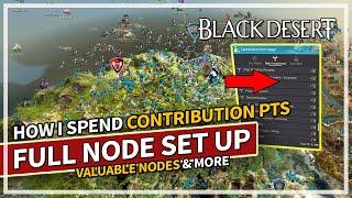 How I Pick & Spend my Contribution Points - FULL SET UP | Black Desert