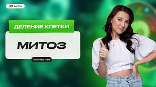 ДЕЛЕНИЕ КЛЕТКИ: МИТОЗ | БИОЛОГИЯ ОГЭ | 99 БАЛЛОВ