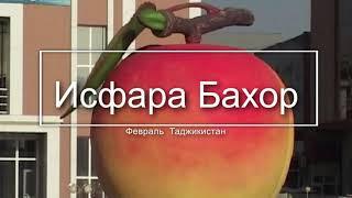 Исфара  Февраль Таджикистан