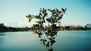 Timmidikunta lake N convention center