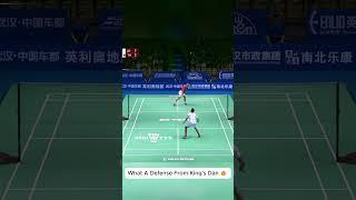 How Did He Get That Back?!  Lin Dan's Insane Reflex!