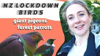 trying to find as many birds as possible during lockdown // wildlife vlog