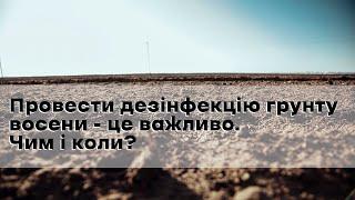 Провести дезінфекцію грунту восени - це важливо! Чим і коли?