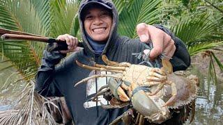 Ep. 245 Hunting Mudcrabs or Alimango! Catch & Cook Part.1