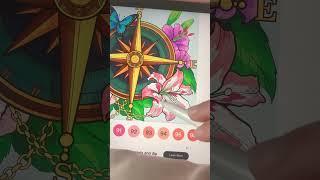 Pretty compass