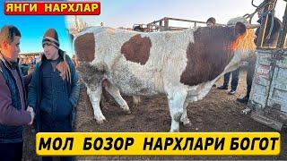 МОЛ  БОЗОР  НАРХЛАРИ  БОГОТ  12-МАРТ XORAZM  NARX  NAVO