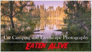 Roof Top Tent Car Camping | Landscape Photography | Eaten Alive