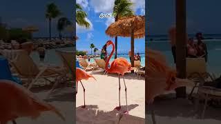 Most beautiful beaches #travel #travelvlog #tranding #explore #tiktok #instagood #viral #shorts #k