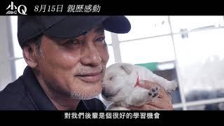 港版導盲犬《小Q》製作特輯 1 -我與導盲犬的日子