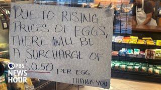 A look at the real reasons behind soaring egg prices