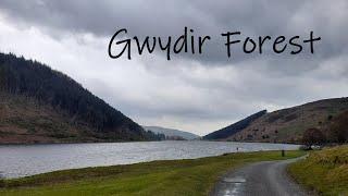 11 Mile Hike in Snowdonia - Gwydir Forest, Geirionydd, Glangors, Hafna, Betws-y-Coed - April 2021