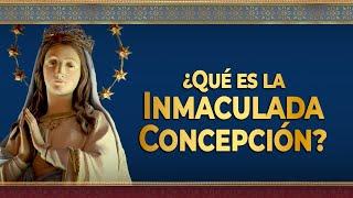 ¿Qué es la INMACULADA Concepción de la Virgen? - Dogma mariano #inmaculadaconcepción