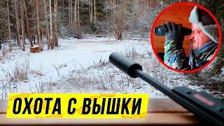 Охота с вышки зимой | 5 часов на охотничьей вышке: выводы