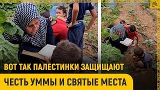 Вот так палестинки защищают честь уммы и святые места