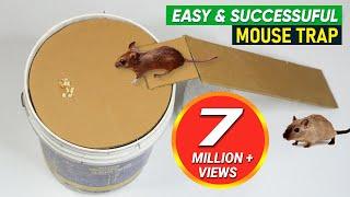 Best DIY Mouse Trap Bucket EVER! Rat/Mice Catching Trap Homemade!