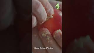 Stuffed Apples & Custard | Jamie's Money-Saving Meals | Channel 4, Mondays, 8pm