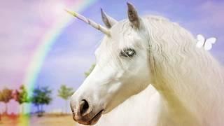 Fun Facts About Unicorns