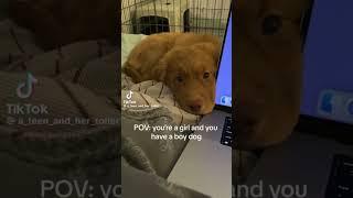 #notmine #tiktok #relatable #puppy #dogandgirl #bond #fy #fyp