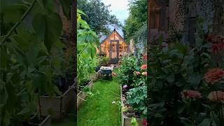 That evening glow in the cottage garden  #cottagegarden