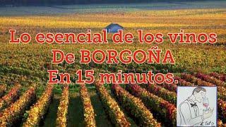 (65) LO ESENCIAL DE LOS VINOS DE BORGOÑA en 15 minutos