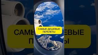 Где найти самые дешевые билеты на перелет #travel #турыонлайн #путешествия #авиабилеты