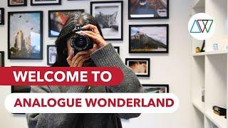 Welcome to Analogue Wonderland! 