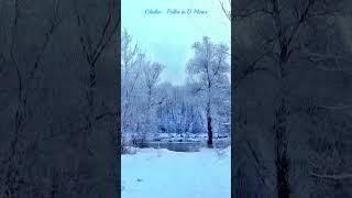 Mikhail Glinka- Polka in D Minor